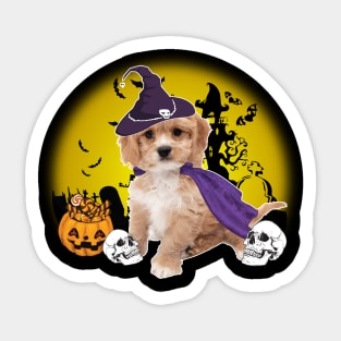 Happy Halloween Cavachon Dogs Halloween Gift Sticker